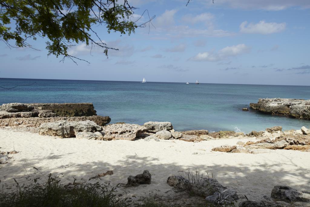 Villa Bougainvillea Aruba Rumba Suite Palm Beach Exterior foto
