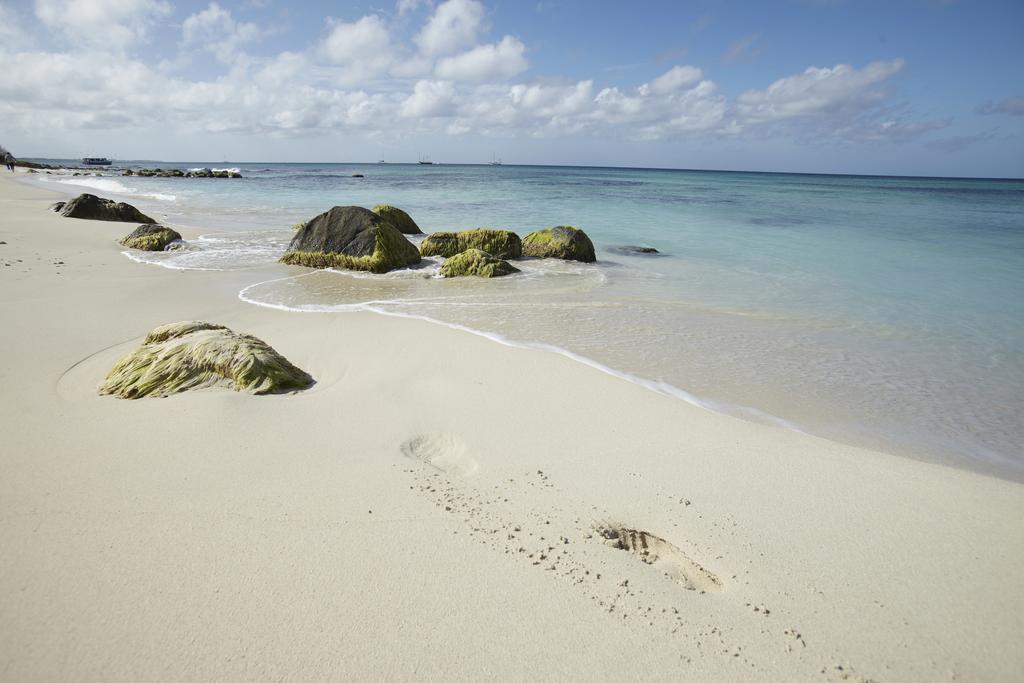 Villa Bougainvillea Aruba Rumba Suite Palm Beach Exterior foto