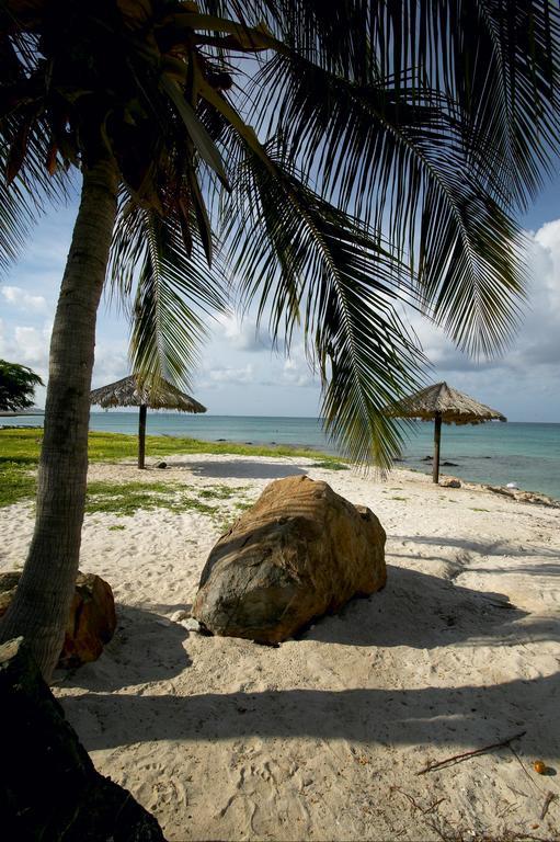 Villa Bougainvillea Aruba Rumba Suite Palm Beach Exterior foto